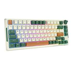 Royal Kludge RKH81 RGB mekaniskt tangentbord Sky cyan switch (US)