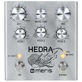 Meris Hedra 3-Voice Rhythmic Pitch Shifter Pedal