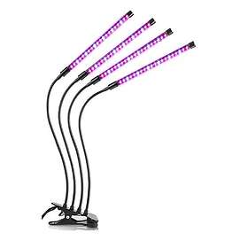 INF LED Plantelys