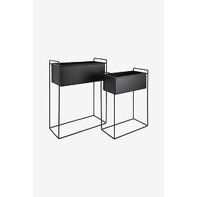 Present Time Essence H65cm