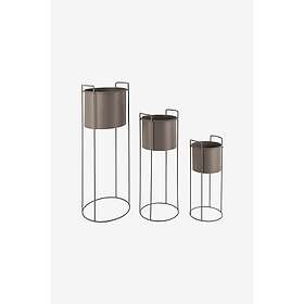 Present Time Essence