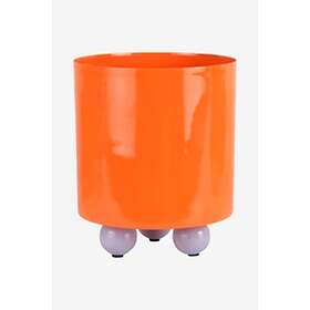 Present Time Double Funky Medium