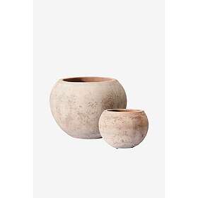 Wikholm Form Kate S/2