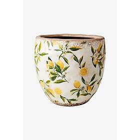 Affari of Sweden Lemona