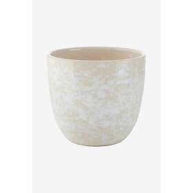 Fratelli Coli Spruzzi 20cm