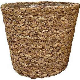 Granngården Sjögräs Ø12cm