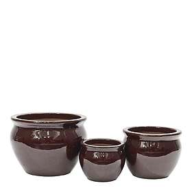 Gus Design Blanka 17/23/29cm