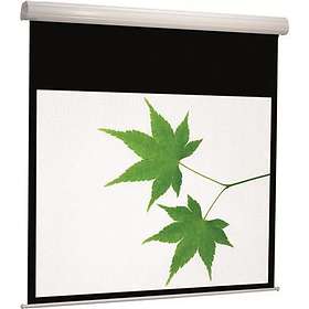 Euroscreen Sesame Xpert ER 16:9 131" (290x163)