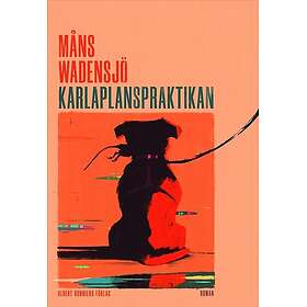 Karlaplanspraktikan Wadensjö, Måns