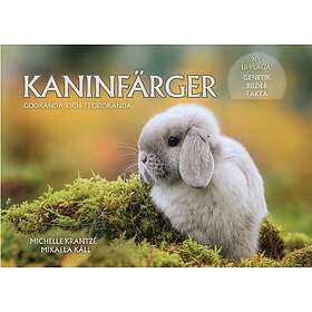 Kaninfärger : Godkända och ej godkända