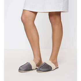 Triumph Slipper 03 (Dam)