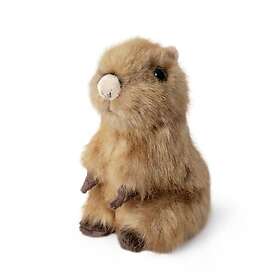 Living Nature Capybara Pup 16cm (AN788)