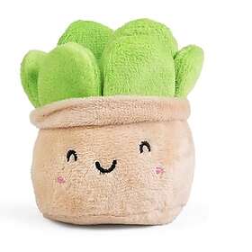 Living Nature Monstera Växt 15cm (FP15FA)