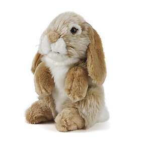 Living Nature Lop Eared Rabbit (18cm) (AN345B)