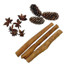 Holmen Konstgjord Dekoration Kotte/Stjärnanis/Kanel Brun 40231450