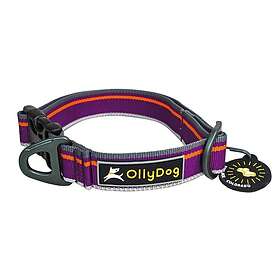 OllyDog Urban Trail Panta M