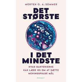 Det største i det mindste