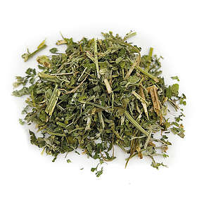 Aumüller Tuore Kissaminttu 30g