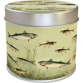 Doftljus Nordisk fisk