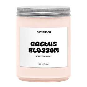 Kosta Boda Mind Cactus Blossom Doftljus 13cm