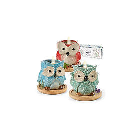 Kinforse Whimsical Owl-Design Sojavax Ljus Presentförpackning 3st