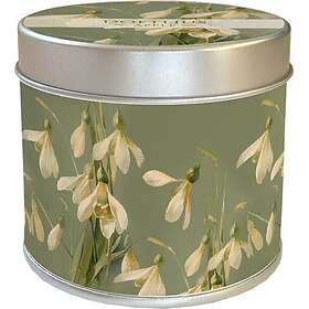 Sköna Ting Äpple/Snödroppar Doftljus