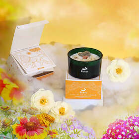Hop The Lion Scented Candle 22h