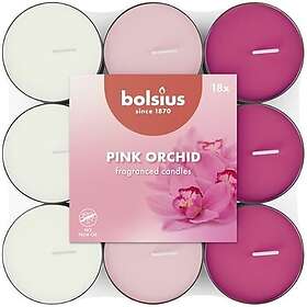 Bolsius Orchidée Rose Bougies Parfumées 38mm 3.5h 18pcs