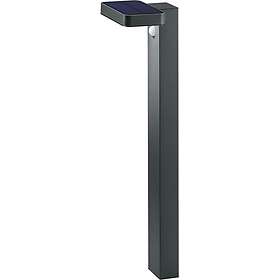 Acoustic Reality Esquel 60cm