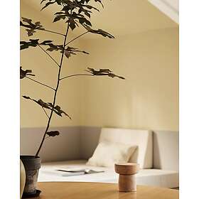 Jotun Lady Pure Color Inomhus Väggfärg Ginger Tea 1965 10L