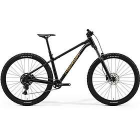 Merida Big Trail 300