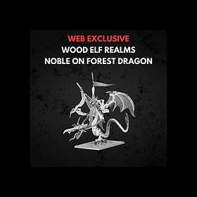 Warhammer Wood Elf Realms Noble on Forest Dragon 99112704006