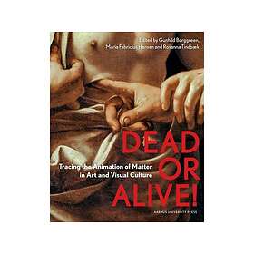 Koei Tecmo Dead or Alive (PS5)