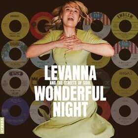 Diverse Artister Wonderful Night Curated By Levanna CD
