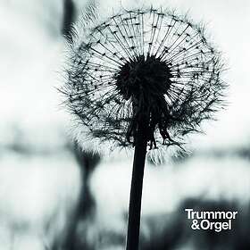 Trummor & Orgel Graceful Degradation New Beginning CD