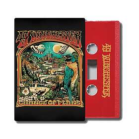 49 Winchester Change Of Plans Kassett