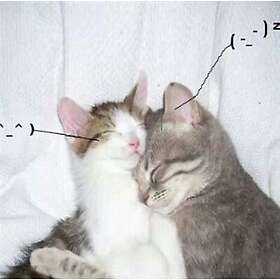 Retail Drugs I Love You So! Kassett