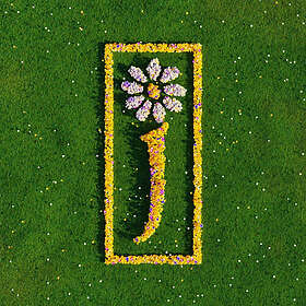 James Nothing But Love: The Definitive Of LP/Vinyl