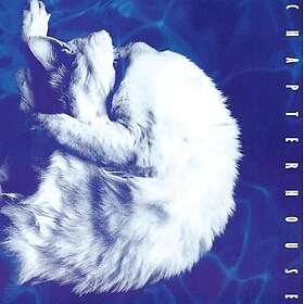 Chapterhouse Whirlpool LP/Vinyl