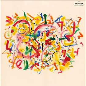 Ty Segall Love Rudiments Kassett