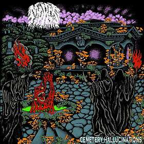 Moros Cemetery Hallucinations Kassett