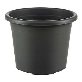 vidaXL Hage Sofasett med Pute 7 Deler 3354446