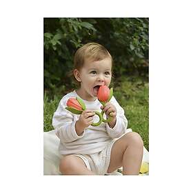 Oli & Carol Theo The Tulip Latex Teether (Korall/Grønn)