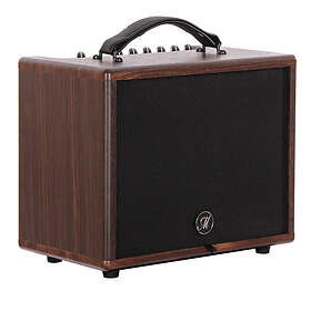 Morgan Amplification AC 45 FXBT