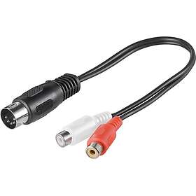 Goobay 63975499 DIN til 2 x RCA Adapterkabel