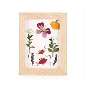 Kikkerland Pressed Flower Frame HB02-F