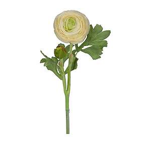 Mr Plant Keinotekoinen Kasvi Ranunkel 50cm Valkoinen 3647-10