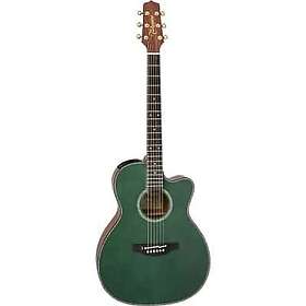 Takamine LTD2025