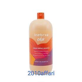 Inebrya Color Perfect Shampoo 1000ml