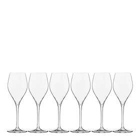 Modern House Sontell Champagneglas 29cl 6-pack